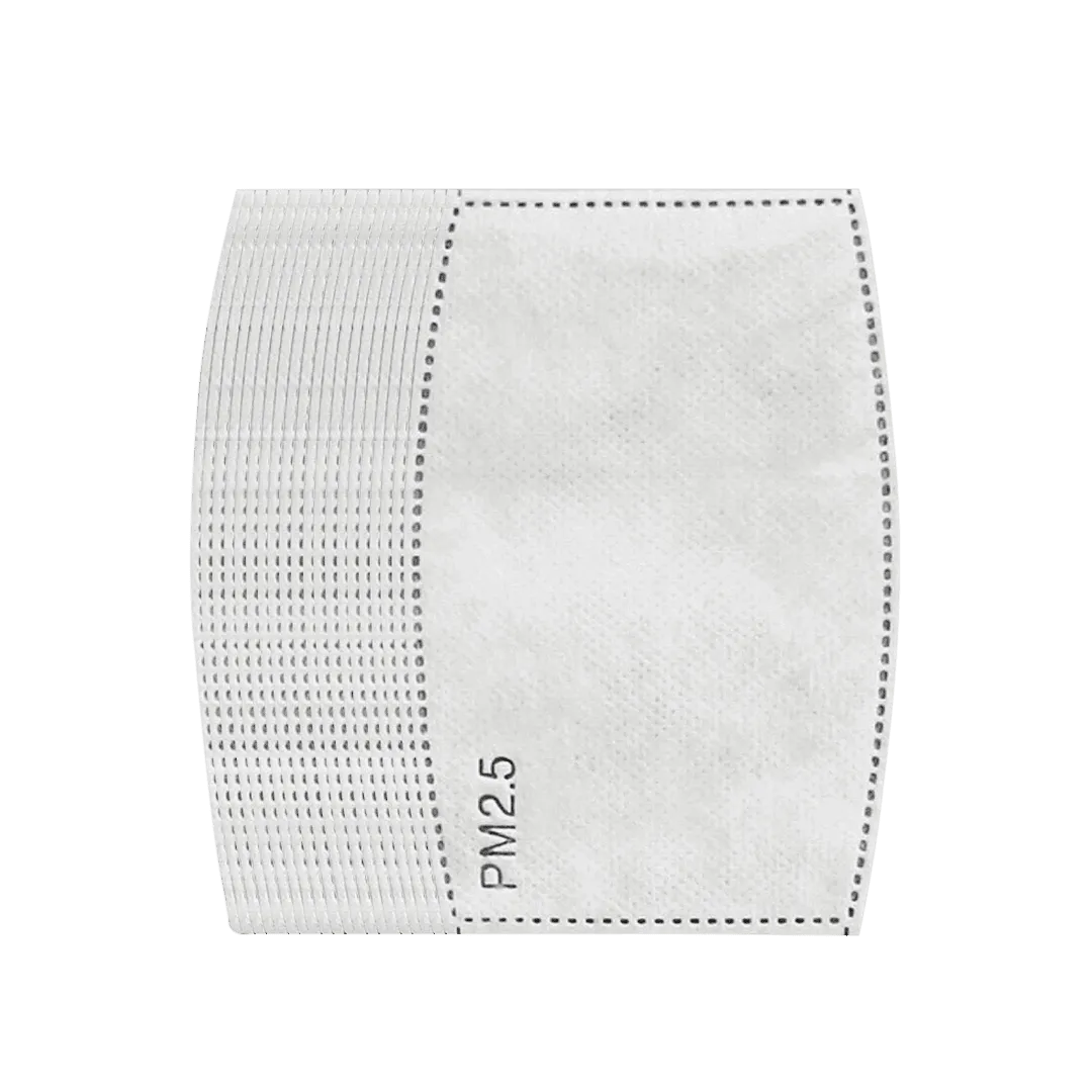 PM 2.5 Filters - 20 pieces