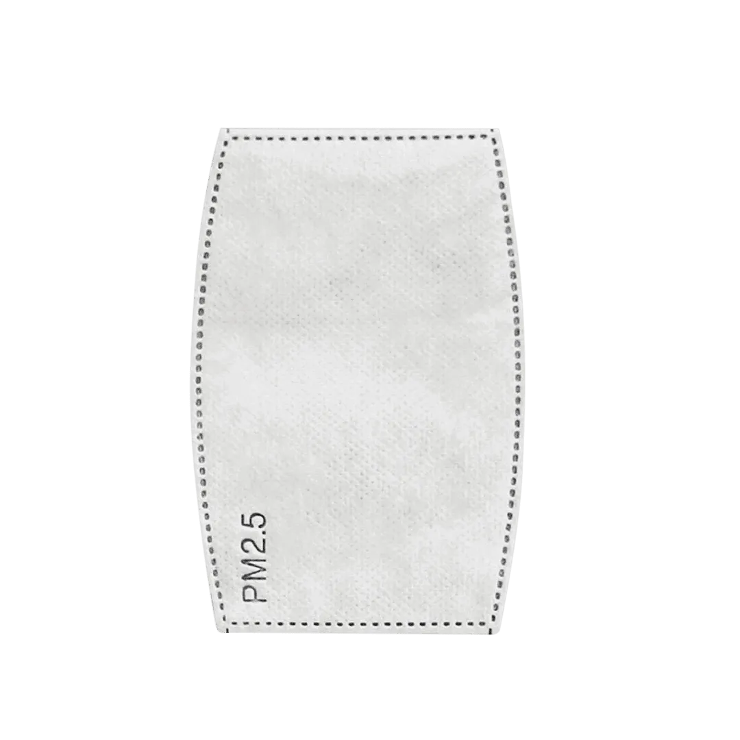 PM 2.5 Filters - 20 pieces